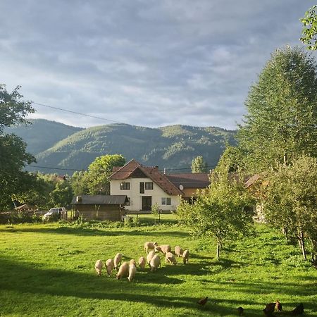 Villa Casa Dorina Bran  Esterno foto