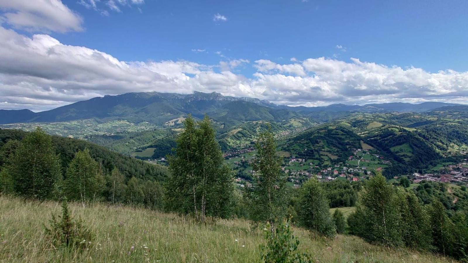 Villa Casa Dorina Bran  Esterno foto