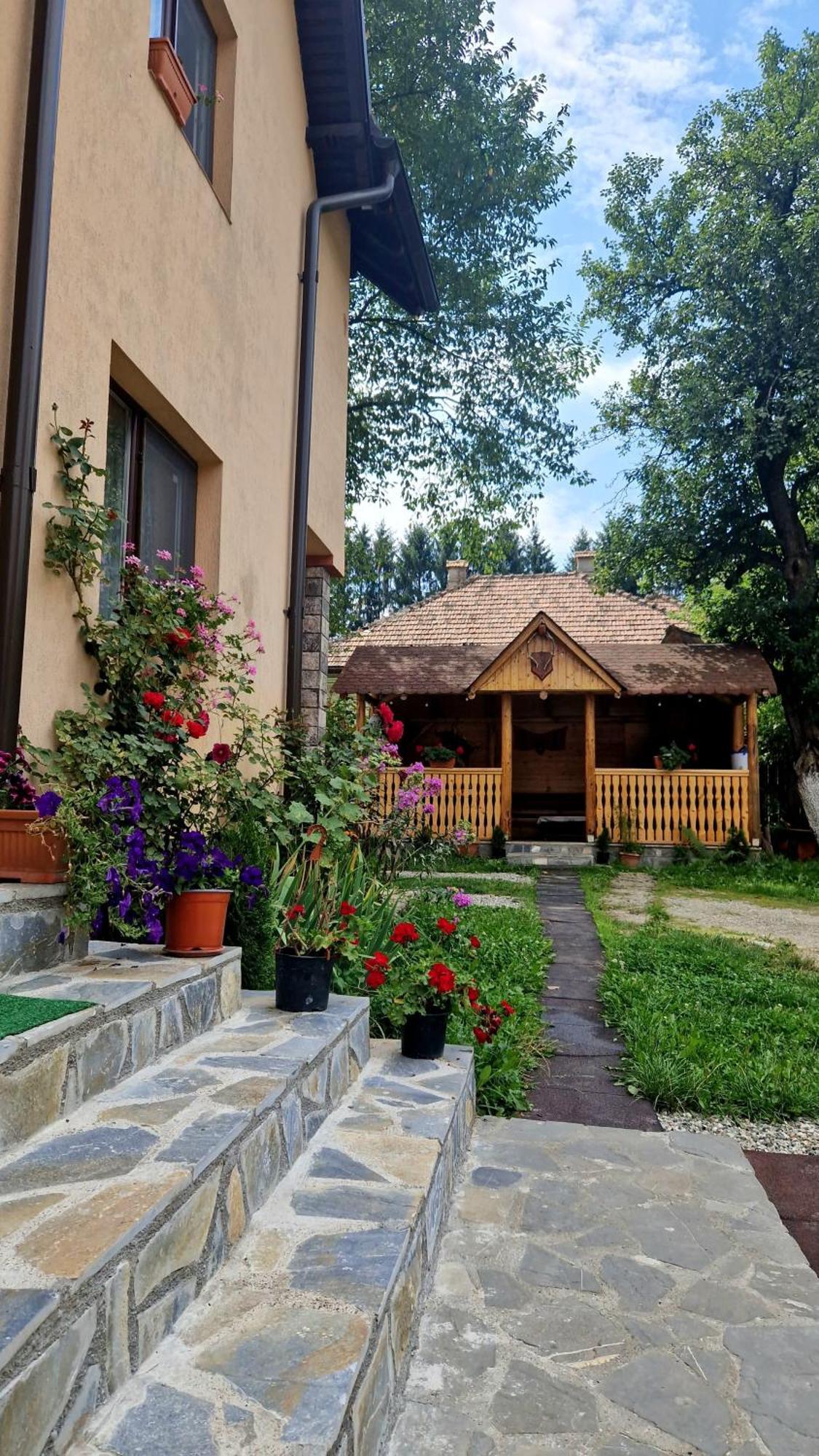 Villa Casa Dorina Bran  Esterno foto