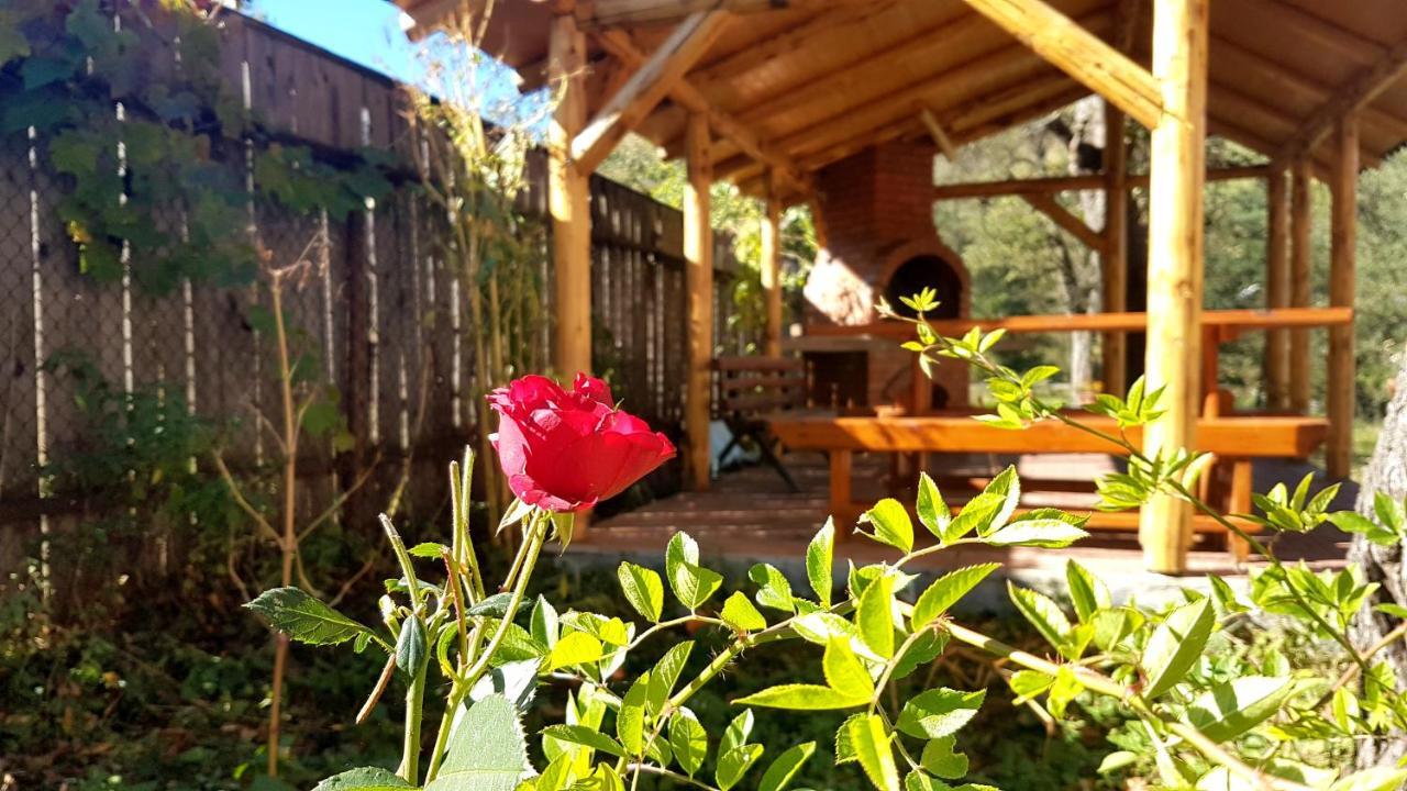 Villa Casa Dorina Bran  Esterno foto