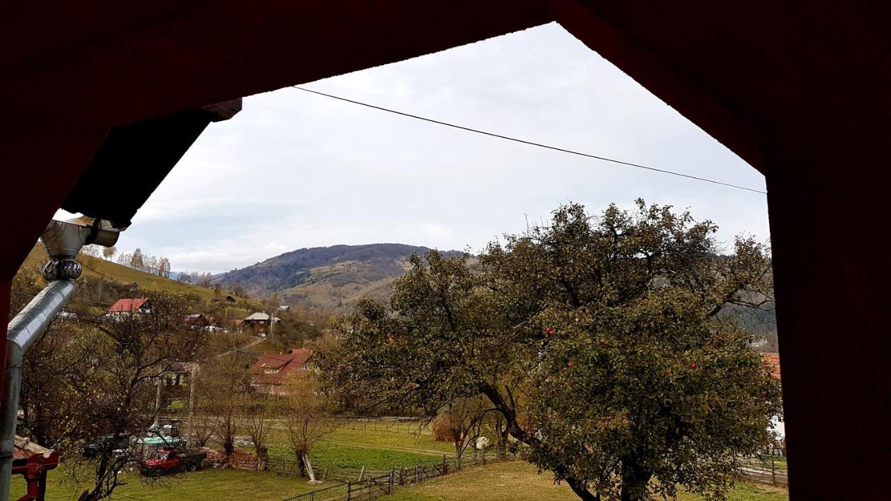 Villa Casa Dorina Bran  Esterno foto
